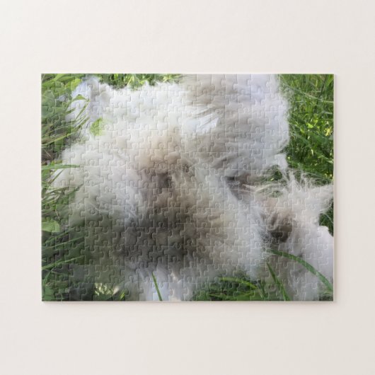 Englisches Angora-Kaninchen "Bradley " Puzzle (Horizontal)