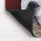Englisches Bulldogge 2 mousepad (Ecke)