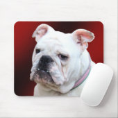 Englisches Bulldogge 2 mousepad (Mit Mouse)