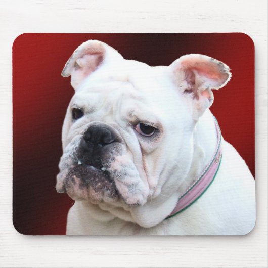 Englisches Bulldogge 2 mousepad (Vorne)