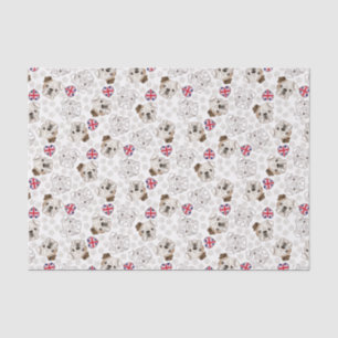 Englisches Bulldoggen-u. Seidenpapier