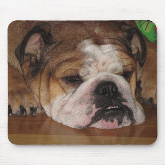 englisches bullie mousepad (Vorne)