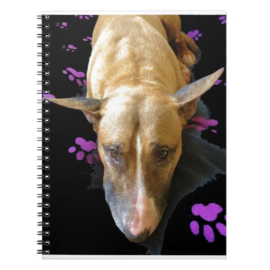 Englisches Bullterrier-Notizbuch Notizblock (Vorderseite)
