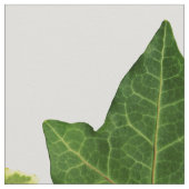 Englisches Efeu-Blätter Stoff (Nahaufnahme)