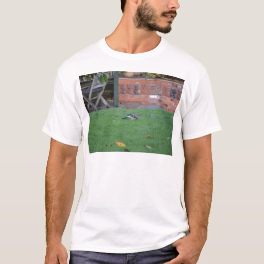 Englisches Jay T-Shirt (Vorderseite)