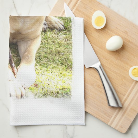 Englisches Mastiff-Geschirrtuch Geschirrtuch (Viertel Falte)