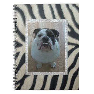 Englisches Notizbuch Bulldogge des Zebra Notizblock