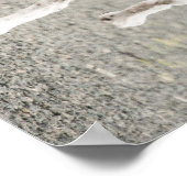 Englisches Pointer Poster (Ecke)