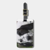 englisches setter.png gepäckanhänger (Vorderseite vertikal)