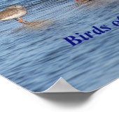 English Bird Proverb Poster (Ecke)