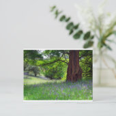 English Bluebells Postkarte (Stehend Vorderseite)