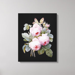 English Bourbon Rose Bouquet on Black by Redoute Leinwanddruck