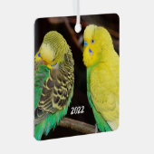 English Budgie Parakeet Keramik Ornament Aus Metall (Vorderseite Rechts)