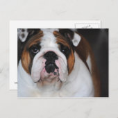 English Bull Dog Foto Post Card Postkarte (Vorne/Hinten)