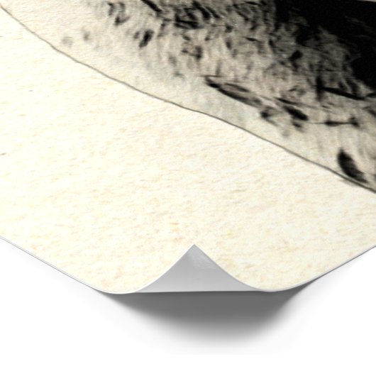 English Bull Terrier Dog Poster (Ecke)