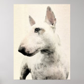 English Bull Terrier Dog Poster (Vorne)
