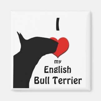 English Bull Terrier Kühlschrankmagnet
