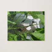 English Bull Terrier pinkelt durch die Blätter Puzzle (Horizontal)
