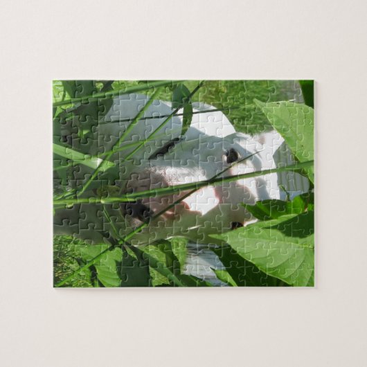 English Bull Terrier pinkelt durch die Blätter Puzzle (Horizontal)
