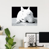 English Bull Terrier, Pop Art Print Poster (Heimbüro)