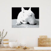 English Bull Terrier, Pop Art Print Poster (Küche)