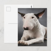 English Bull Terrier Postcard Postkarte (Vorne/Hinten)