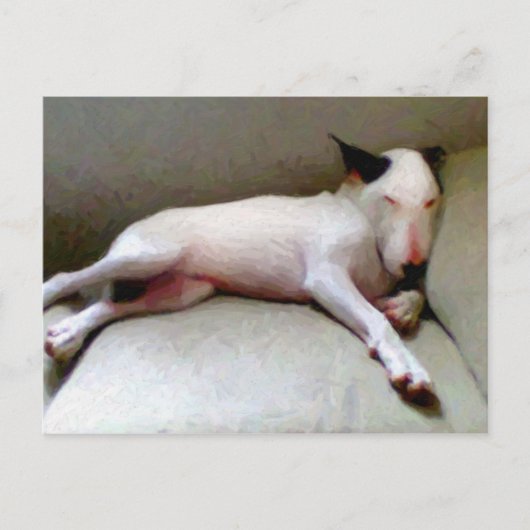 English Bull Terrier Postkarte (Vorderseite)
