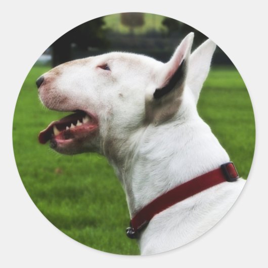 English Bull Terrier Runder Aufkleber (Vorderseite)