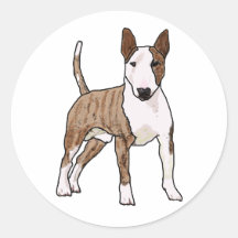 English Bull Terrier