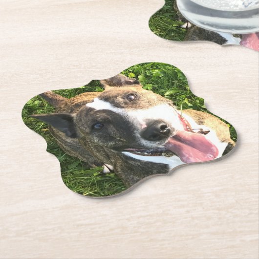 English Bull Terrier Untersetzer (angewinkelt)