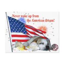 English Bulldog - American Dream