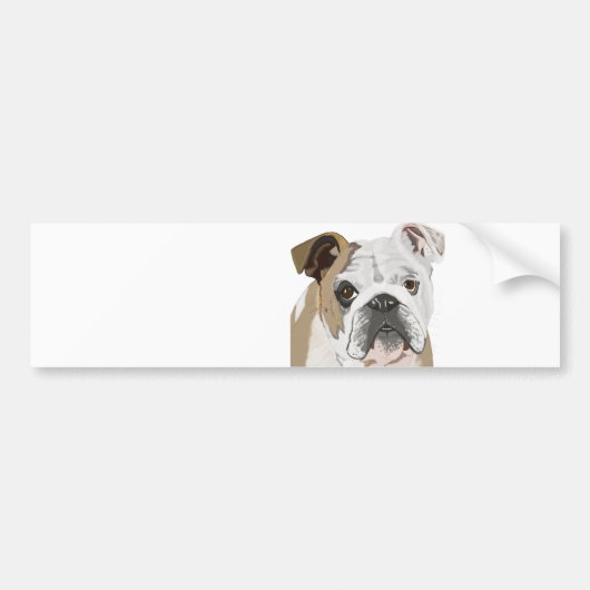 English Bulldog Autoaufkleber (Vorne)