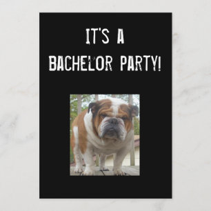 English Bulldog Bachelor Party Einladungen