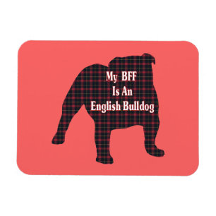 English Bulldog BESTE FREUNDIN Magnet