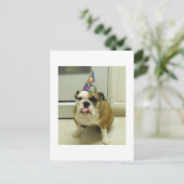 English Bulldog Birthday Postkarte (Stehend Vorderseite)