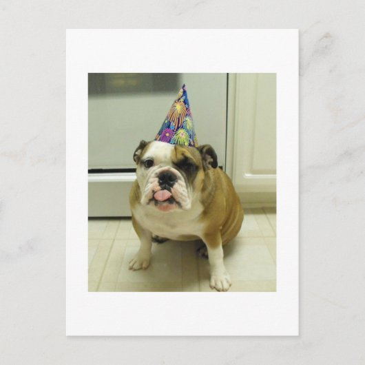 English Bulldog Birthday Postkarte (Vorderseite)