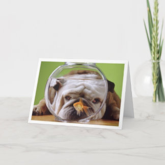 English Bulldog Card Karte