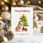 English Bulldog Christmas Card Feiertagskarte