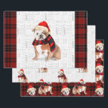 English Bulldog Christmas Dog und Kariert Geschenkpapier Set<br><div class="desc">Dieser niedliche englische Bulldog ist bereit für die Feriensaison ein roter und schwarzer Schal und Santa Cap,  was diesen Hund zu einer echten Mode macht. Dieser niedliche Weihnachtshund ist mit einem karierten Druck in Rot und Schwarz auf diesem Set der Geschenkpackung für den Hundefreund gepaart.</div>