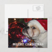 English Bulldog Christmas Feiertagspostkarte (Vorne/Hinten)