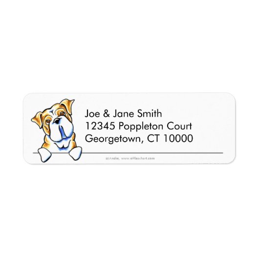 English Bulldog Clean in Simple (Vorne)