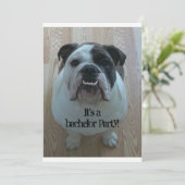 English Bulldog Cool Bachelor Party Einladungen (Stehend Vorderseite)
