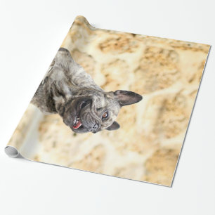 English Bulldog Dog Art Portrait Geschenkpapier