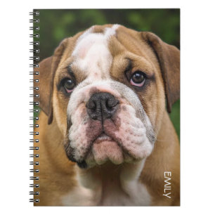 English Bulldog Dog Personalisiertes Notebook Notizblock