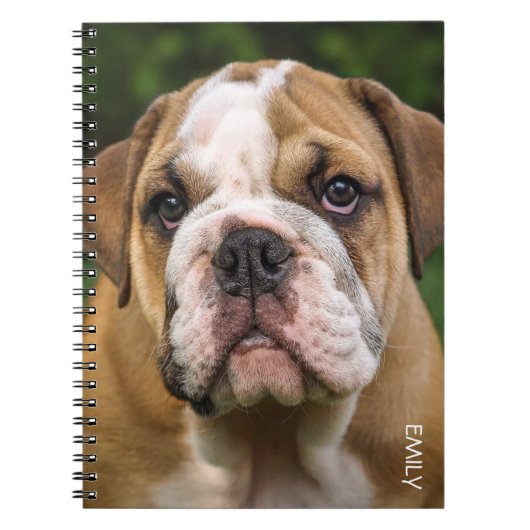 English Bulldog Dog Personalisiertes Notebook Notizblock (Vorderseite)