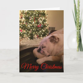 English Bulldog Dream Christmas Card Feiertagskarte