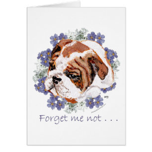 English Bulldog Erinnerungen
