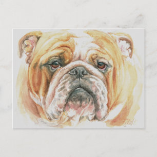 English Bulldog Face Watercolor-Malerei Postkarte