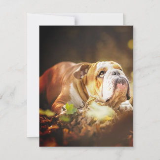 English Bulldog Forest Foto Einladung