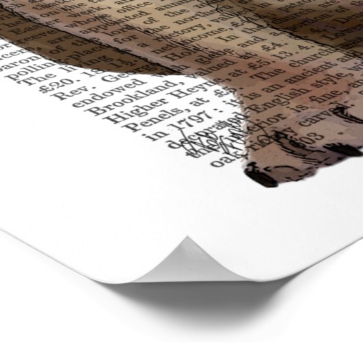 English Bulldog, Formal Hound und Hat Poster (Ecke)